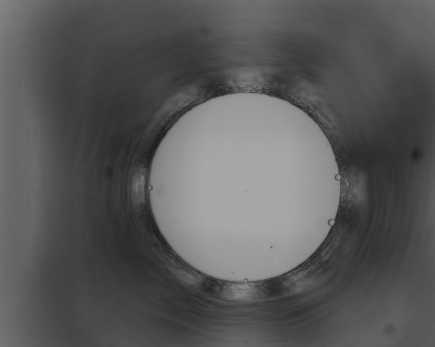 X0000097950717200804011634