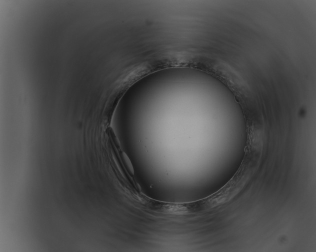 X0000097950719200804011634