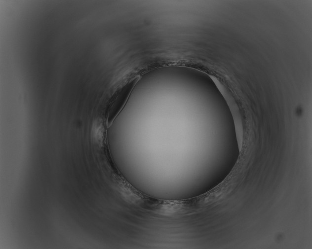 X0000097950720200804011634