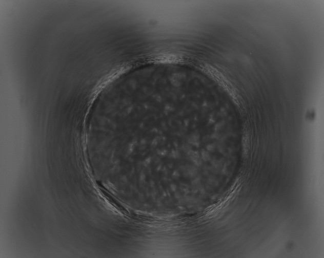 X0000097950721200804011633