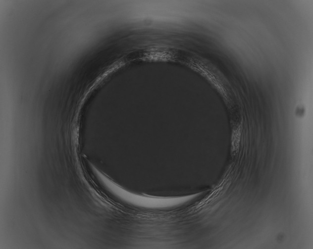 X0000097950722200804011633