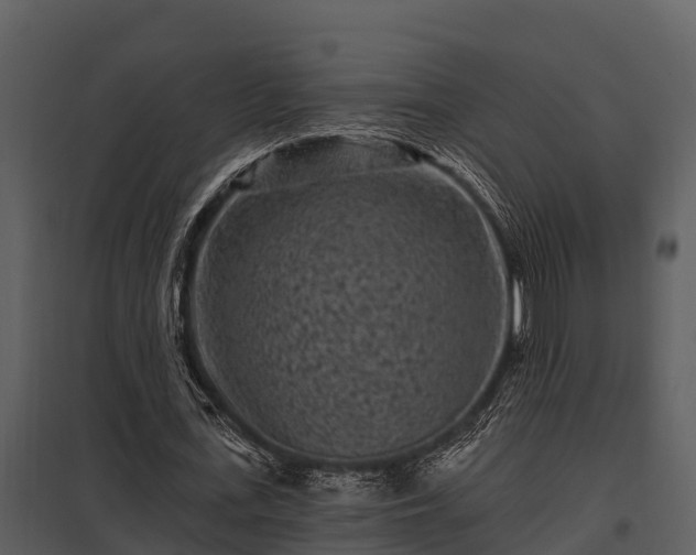 X0000097950723200804011633