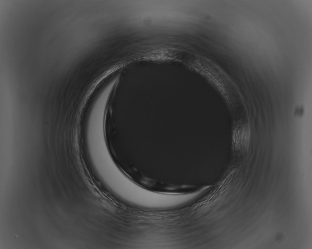 X0000097950724200804011633