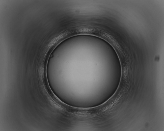 X0000097950725200804011633