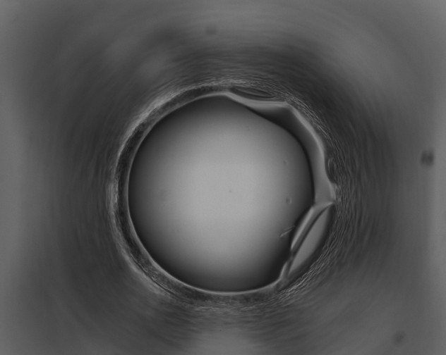 X0000097950726200804011634
