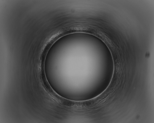 X0000097950727200804011634