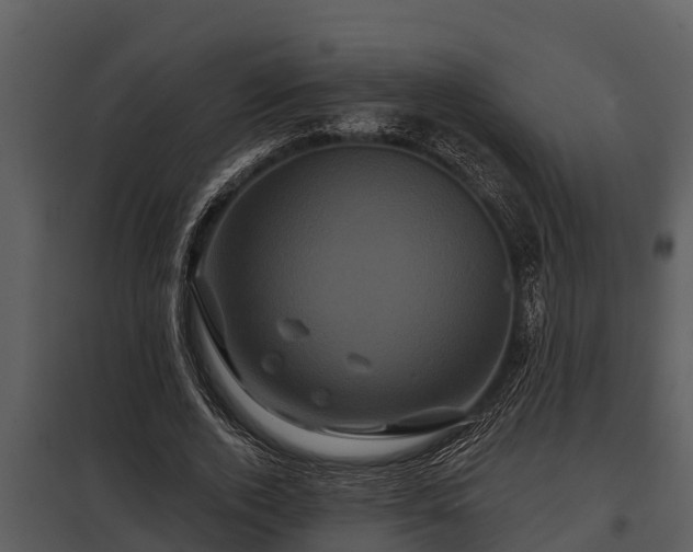 X0000097950728200804011634