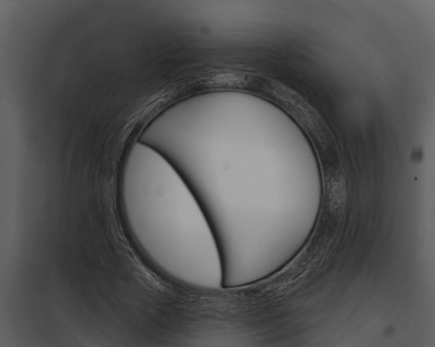 X0000097950729200804011634