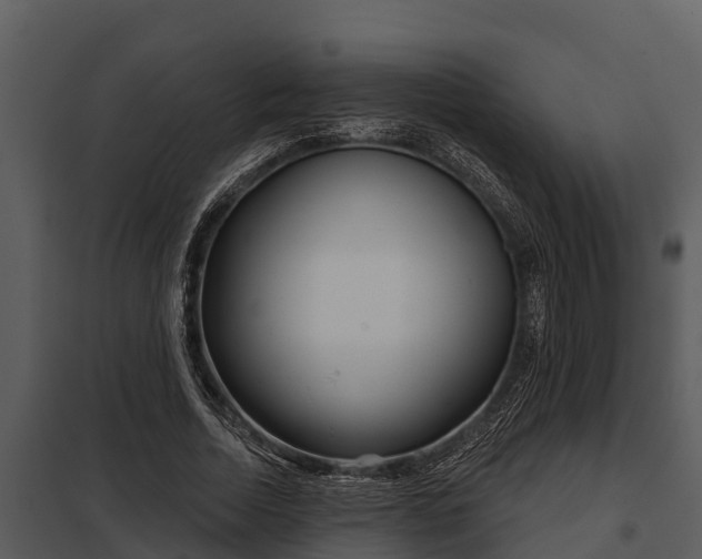 X0000097950730200804011634