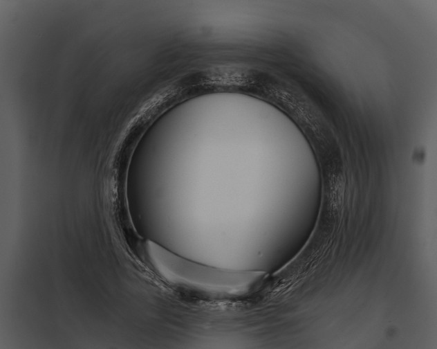 X0000097950731200804011634