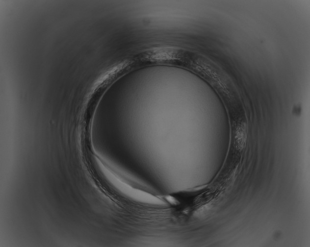 X0000097950732200804011634