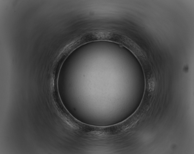 X0000097950733200804011634