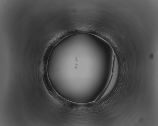 X0000097950734200804011634