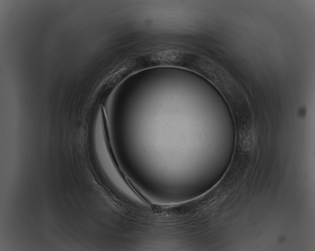 X0000097950735200804011634