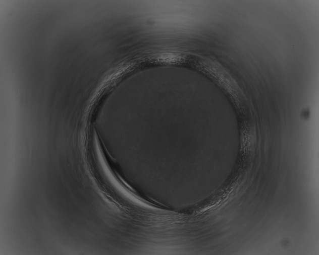X0000097950736200804011634