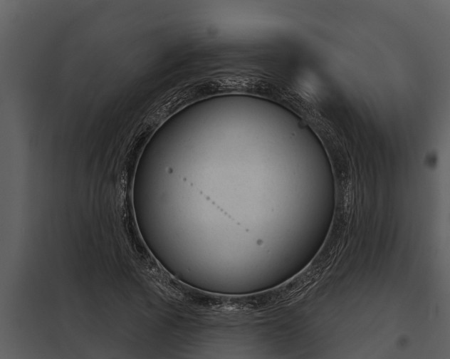 X0000097950737200804011634