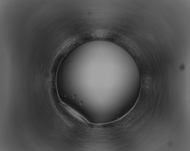 X0000097950738200804011634