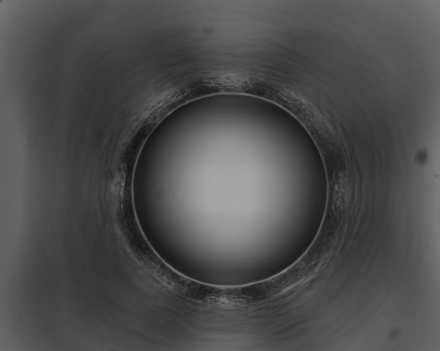 X0000097950739200804011634