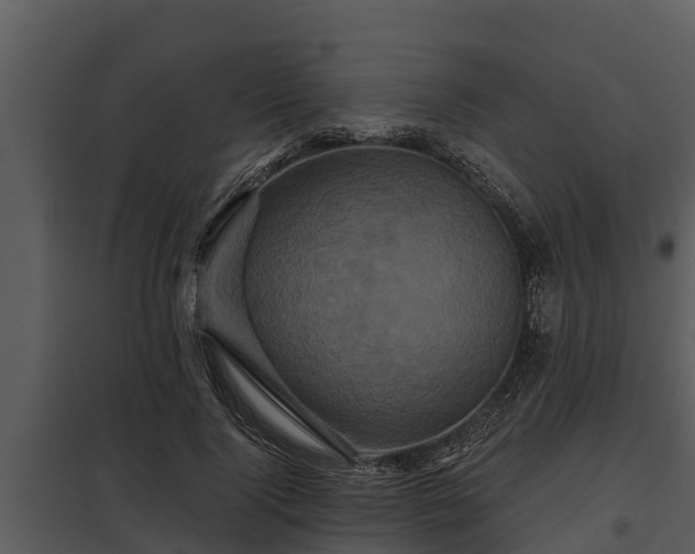 X0000097950740200804011634