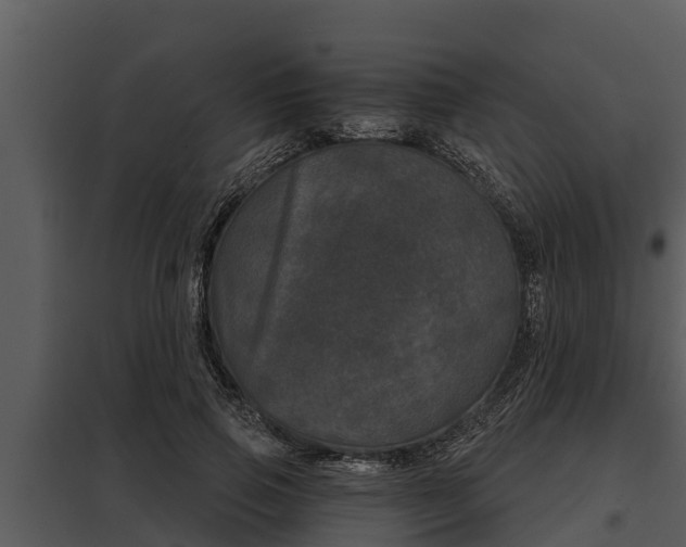 X0000097950741200804011634