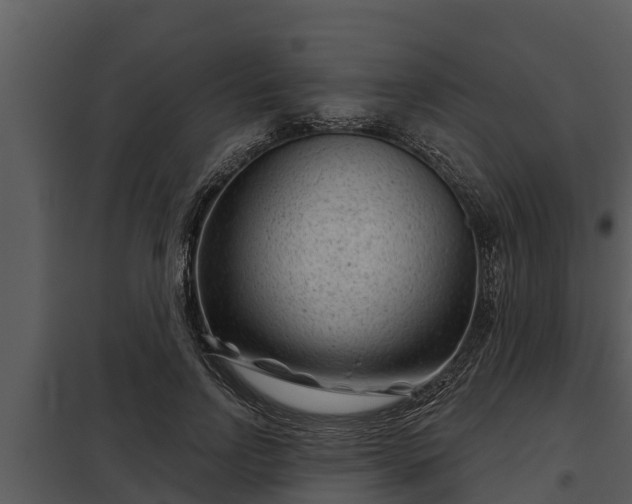 X0000097950742200804011634