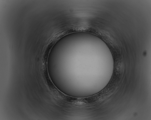 X0000097950743200804011634
