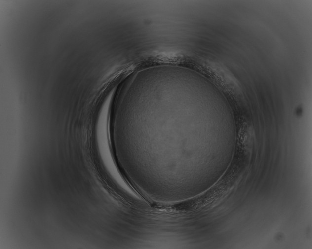 X0000097950744200804011634