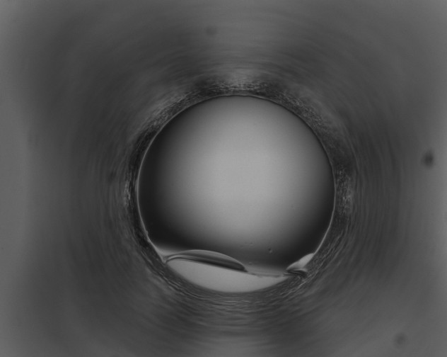 X0000097950746200804011634