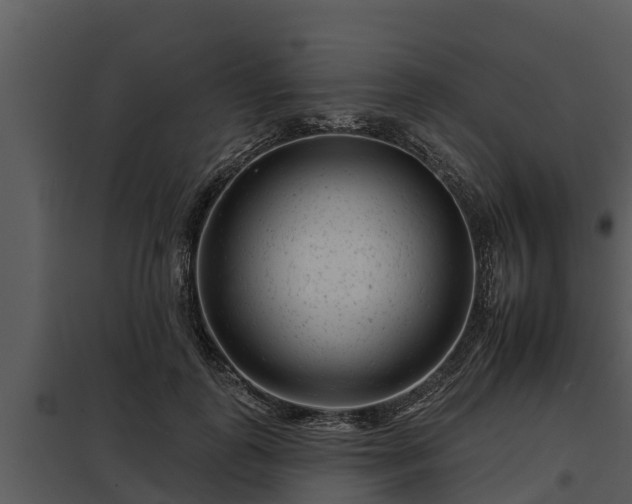 X0000097950747200804011634