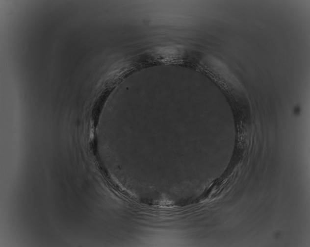 X0000097950748200804011634