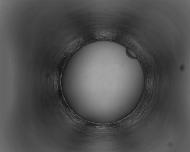 X0000097950749200804011634