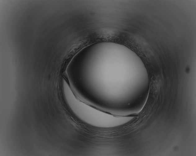 X0000097950750200804011634