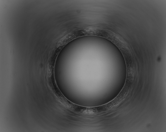 X0000097950751200804011634