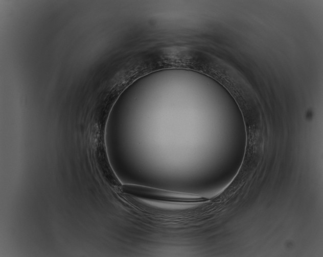 X0000097950752200804011634
