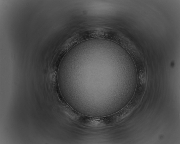 X0000097950753200804011634
