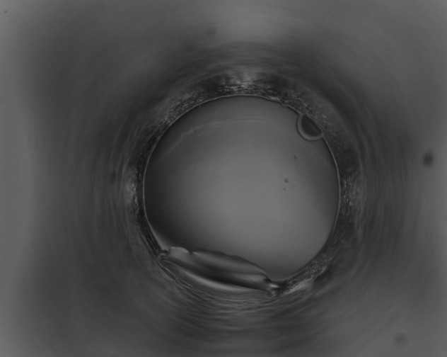 X0000097950754200804011634