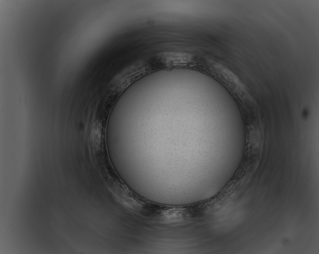X0000097950761200804011634