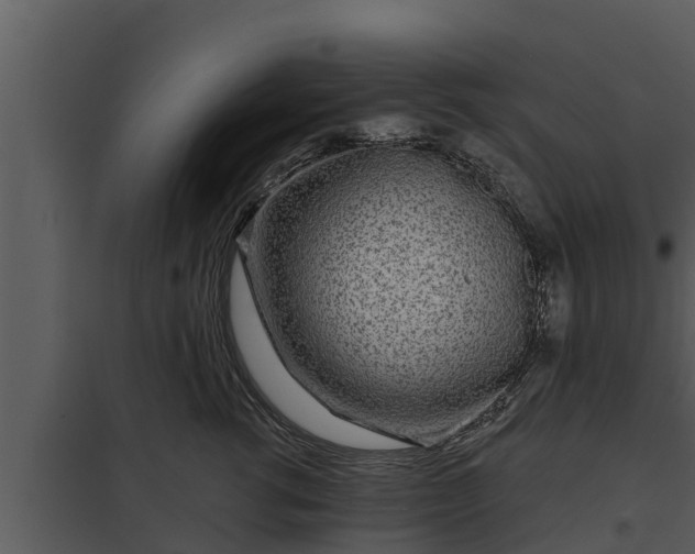 X0000097950762200804011634