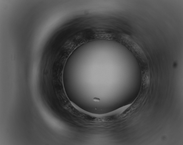 X0000097950764200804011634