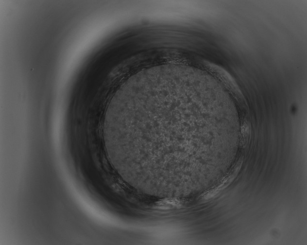 X0000097950765200804011634