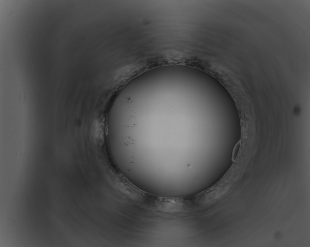 X0000097950768200804011634