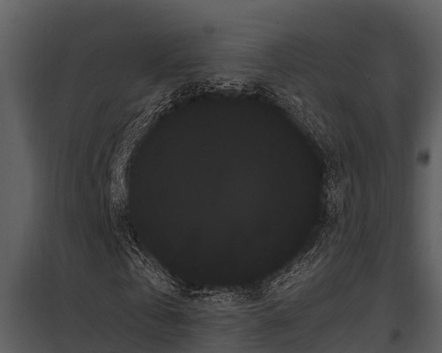 X0000097950769200804011633