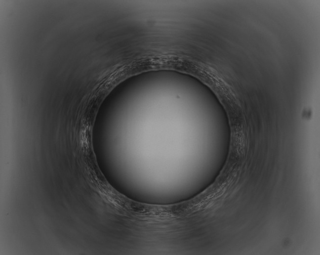 X0000097950770200804011633