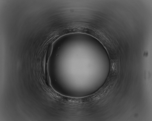 X0000097950771200804011633