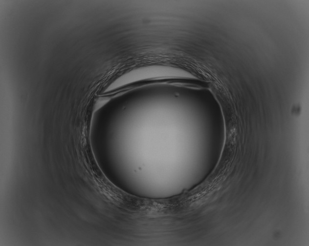 X0000097950772200804011633