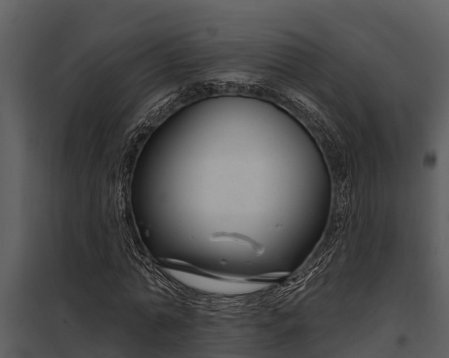 X0000097950774200804011633