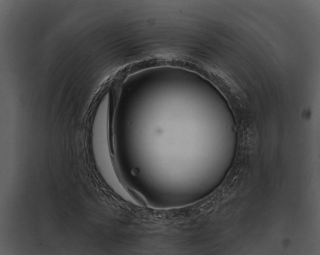 X0000097950776200804011633