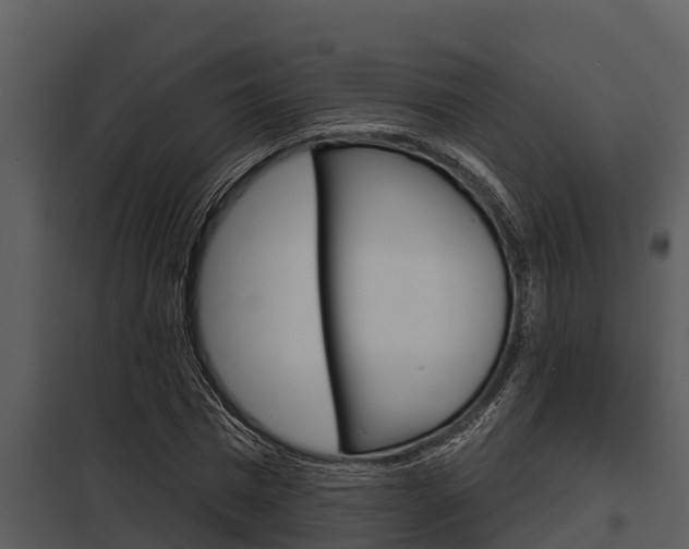 X0000097950777200804011633