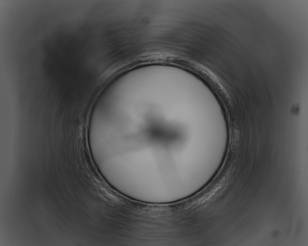 X0000097950778200804011633