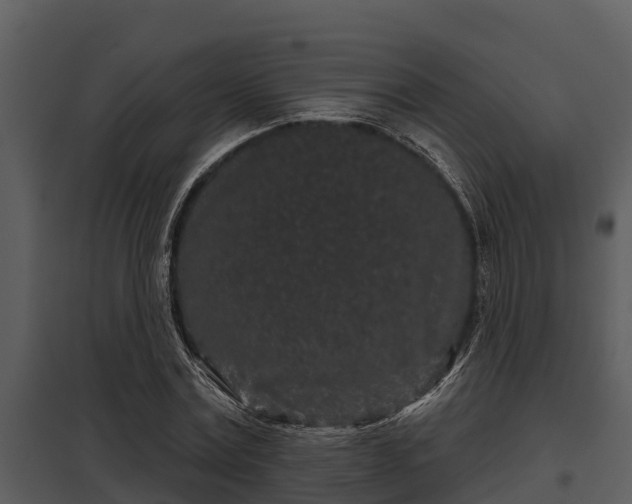 X0000097950779200804011633